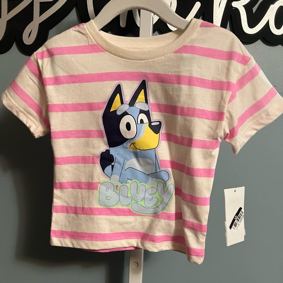 Bluey Other - Bluey Pink Striped Graphic Short Sleeve Shirt NWT 18 months